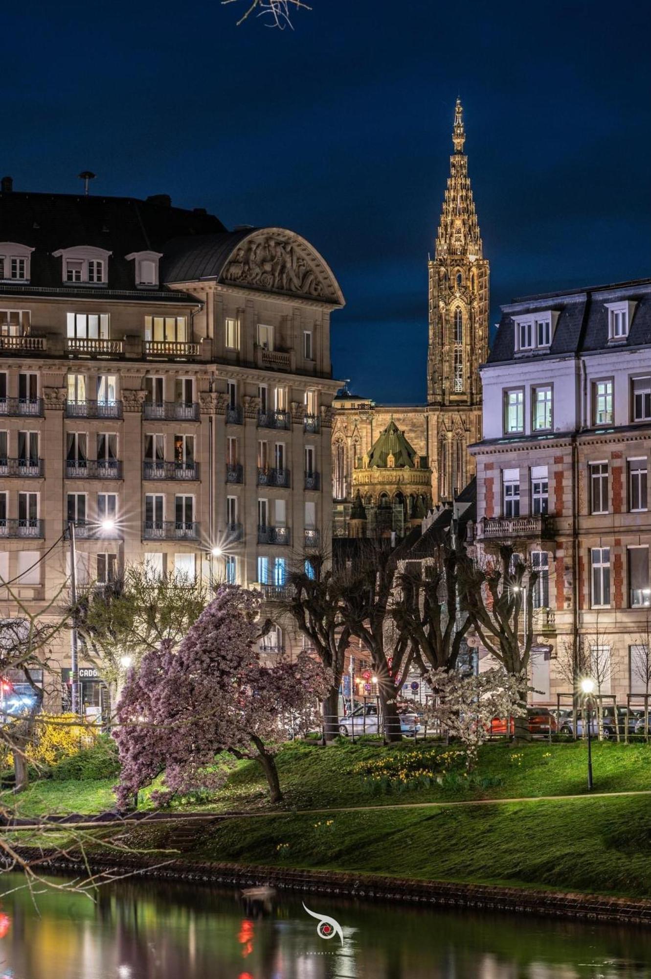 Appart & Studio Hyper Centre De Strasbourg - Proche Cathedrale & Petite France Eksteriør billede