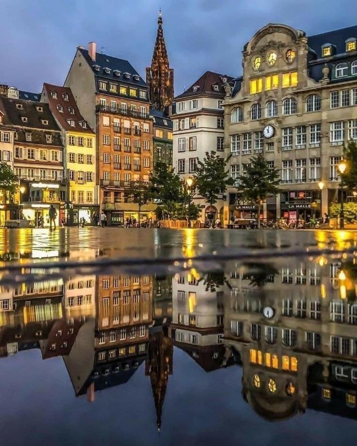 Appart & Studio Hyper Centre De Strasbourg - Proche Cathedrale & Petite France Eksteriør billede