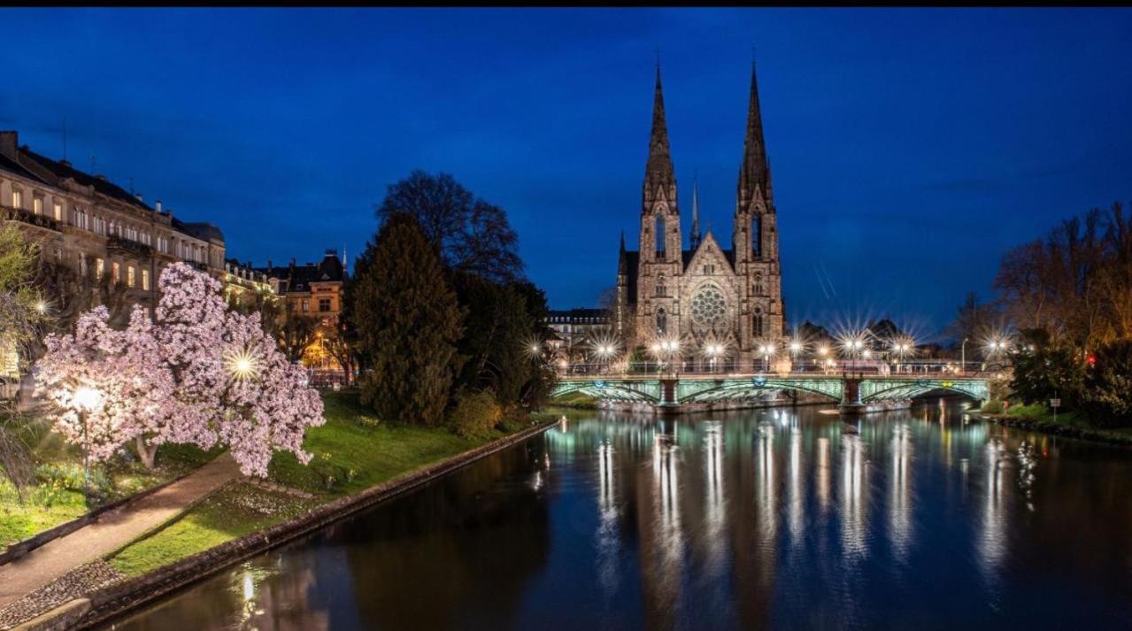 Appart & Studio Hyper Centre De Strasbourg - Proche Cathedrale & Petite France Eksteriør billede